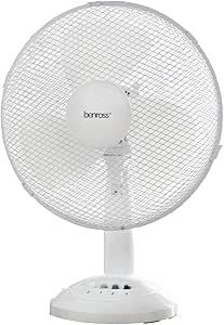 12" Portable Cool Air Desk Fan